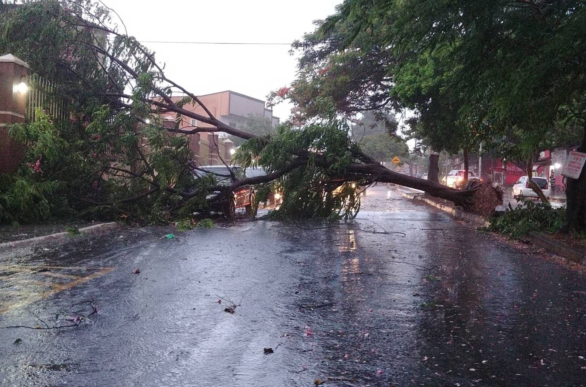 Chuva Causa Alagamento E Derruba Rvores Em Ruas De Goi Nia Veja