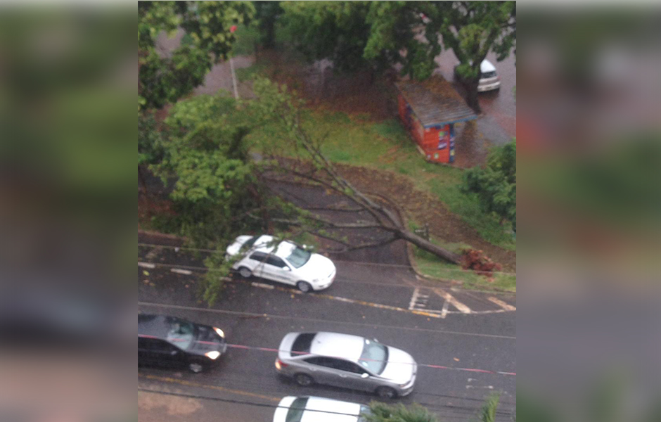 Chuva Forte Provoca Alagamentos Queda De Rvores E Falta De Energia Em