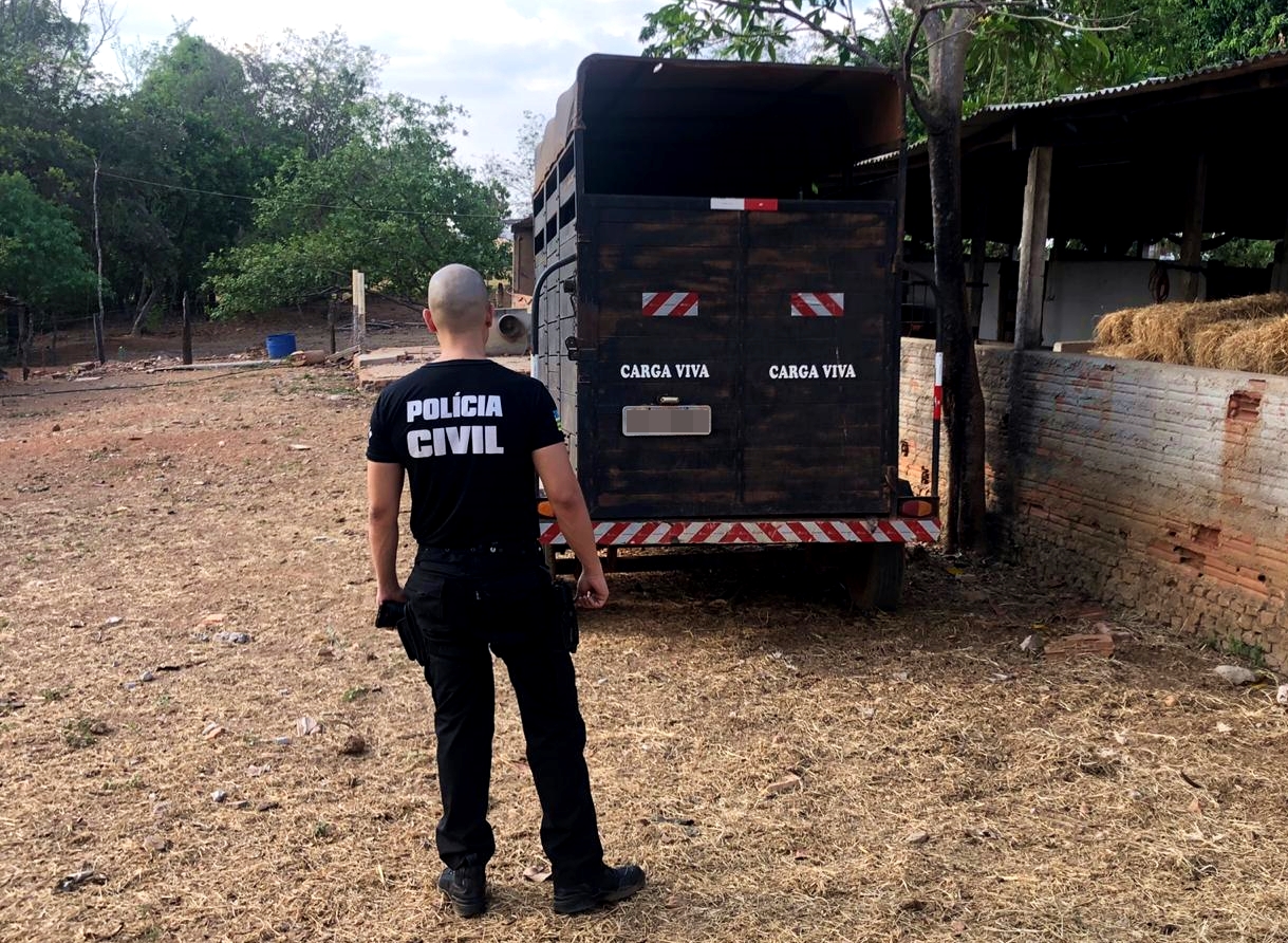 PC apresenta quadrilha de roubo de gado em Goiás prejuízos chegam a R