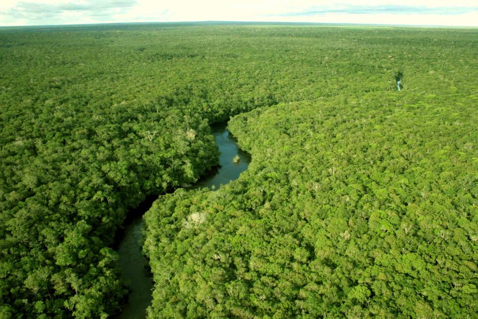 Militares brasileiros tinham páginas no Facebook para desacreditar desmatamento na Amazônia (Foto: EBC)