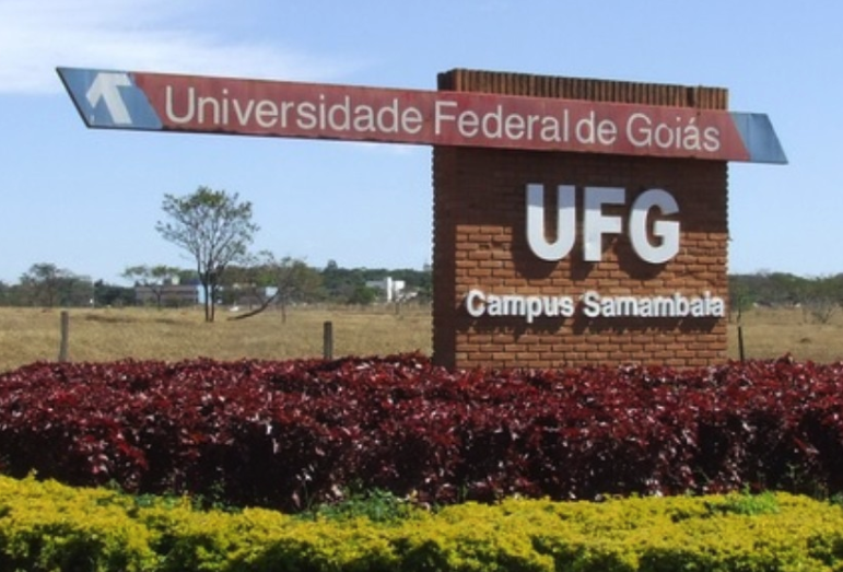 A Universidade Federal de Goiás (UFG) vai testar, na próxima semana, servidores e estudantes contra a Covid-19. (Foto: Reprodução Google Street View)