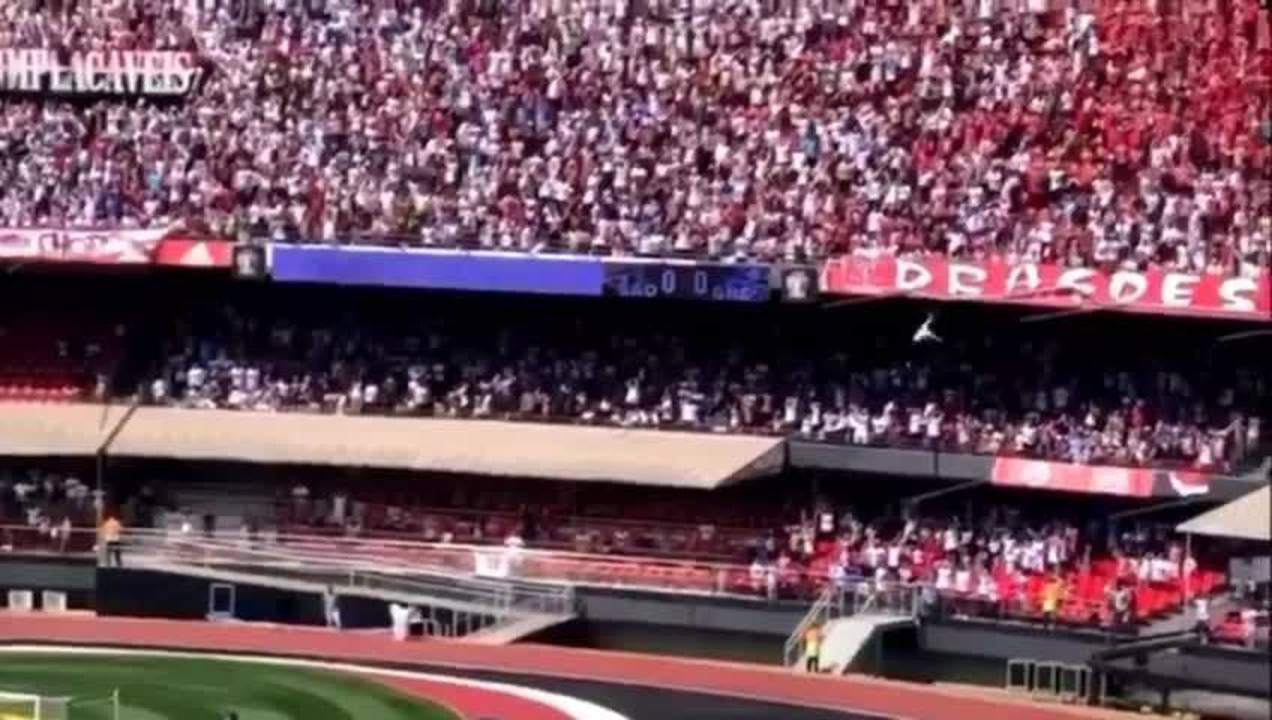 Torcedor do São Paulo cai de arquibancada do Morumbi em jogo contra o Grêmio