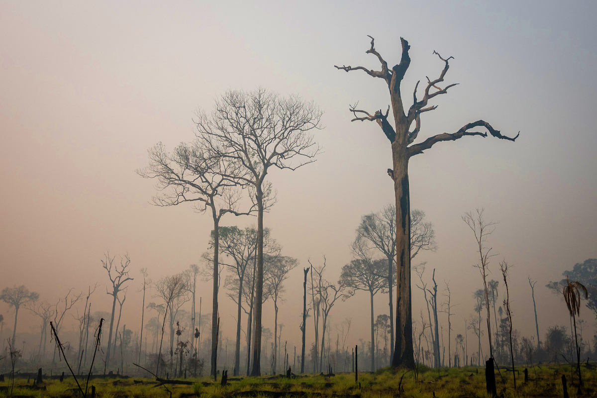 Queimada na Floresta Amazônica ocorrida em 2018