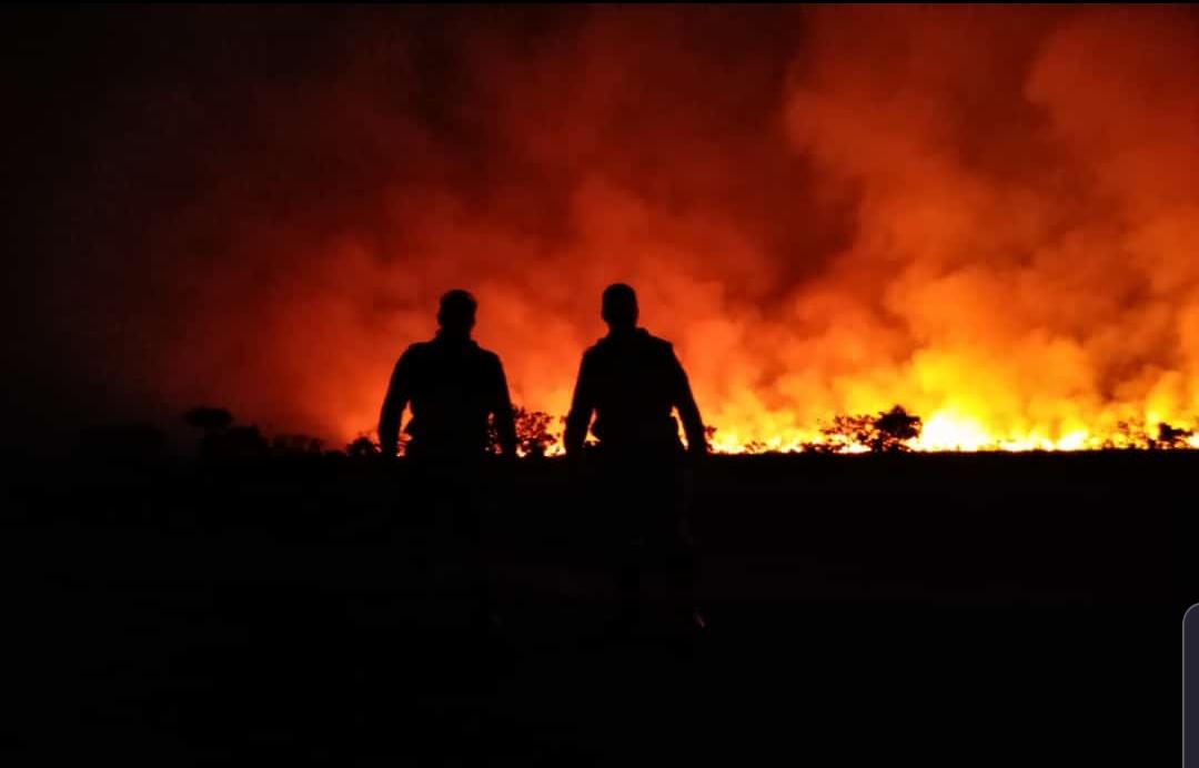 Incêndio no Parque Nacional das Emas pode ter sido provocado por Raio, situação está controlada, mas ainda existe risco de reignição