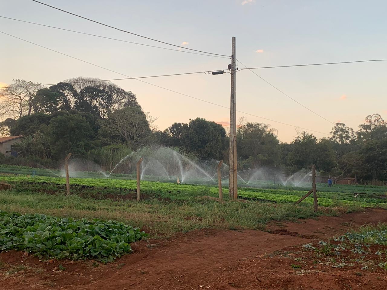 Estado faz apelo para que outorga de irrigação seja respeitada