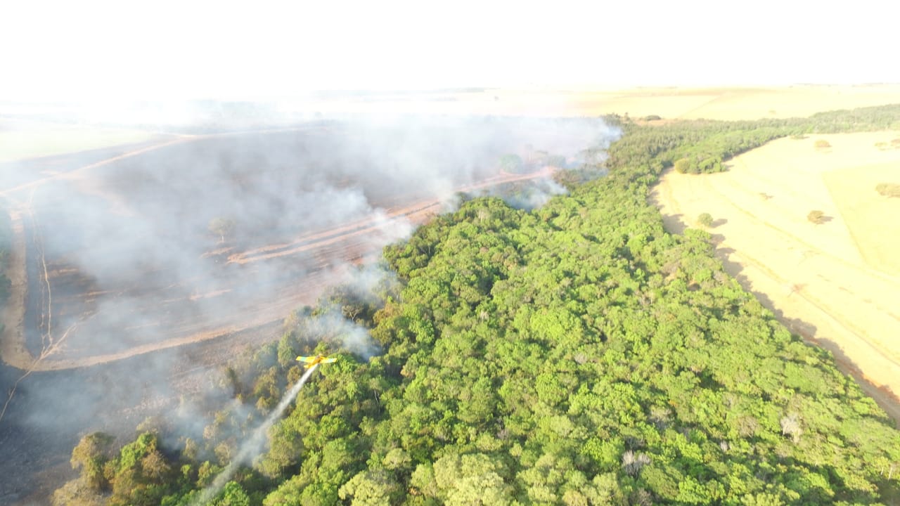 Nascente de córrego atingido pelo incêndio é responsável por abastecer o município de Morrinhos (Foto: Divulgação / Bombeiros)