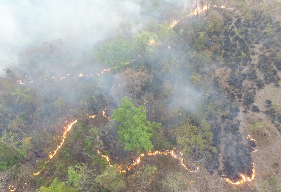 Incêndio em Iporá (GO) dura seis dias e consumiu 5.800 hectares