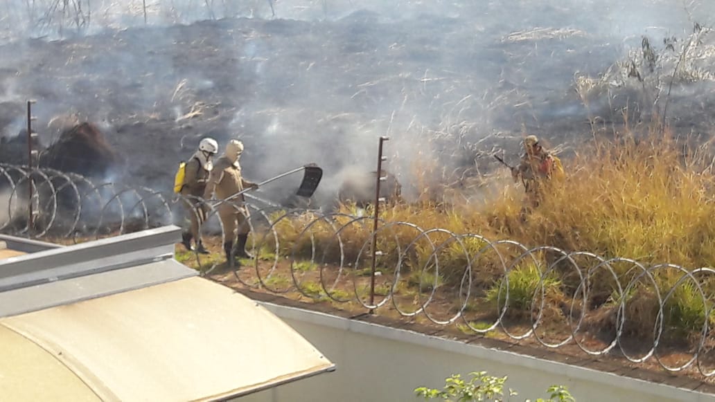 Equipe tenta combater o incêndio; assustada, uma raposa foge das chamas (Foto: Leitor / Mais Goiás)