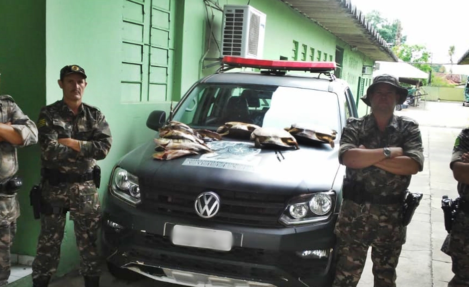 Polícia encontrou os pescados no interior de um carro de passeio; tartarugas foram devolvidas à natureza (Foto: Divulgação/PM)