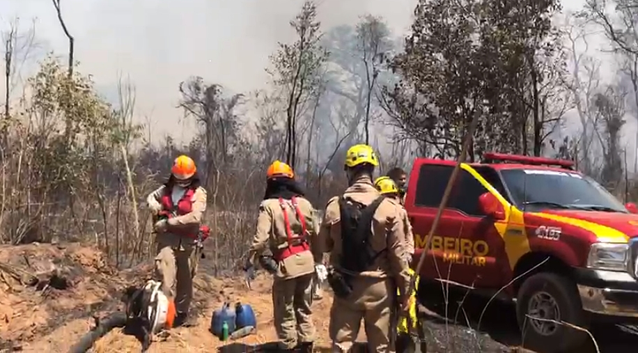 Incêndio nos parques Ecológico e João Leite teve início na manhã do sábado (14); quase 80 militares participaram do combate (Foto: Divulgação / Bombeiros)