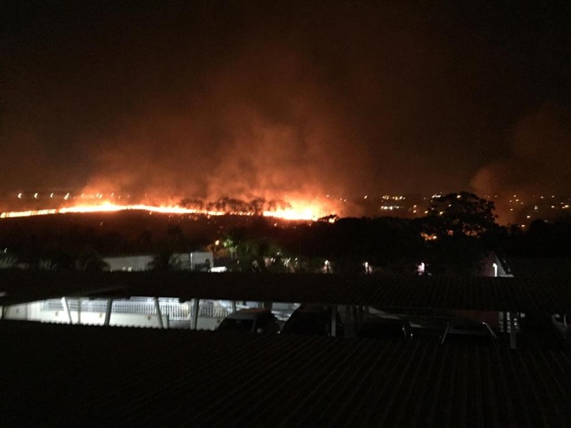 Homem que colocou fogo na vegetação próxima ao Oscar Niemeyer é suspeito de incêndio no Parque Sabiá, em Goiânia