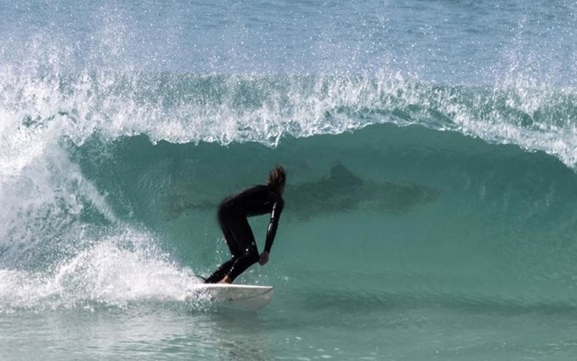 Surfista cai em cima de tubarão depois de saltar da prancha, na Flórida