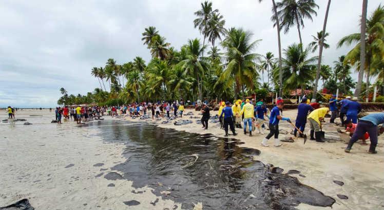 Mancha de óleo atinge praia de Carneiros, cartão-postal de Pernambuco