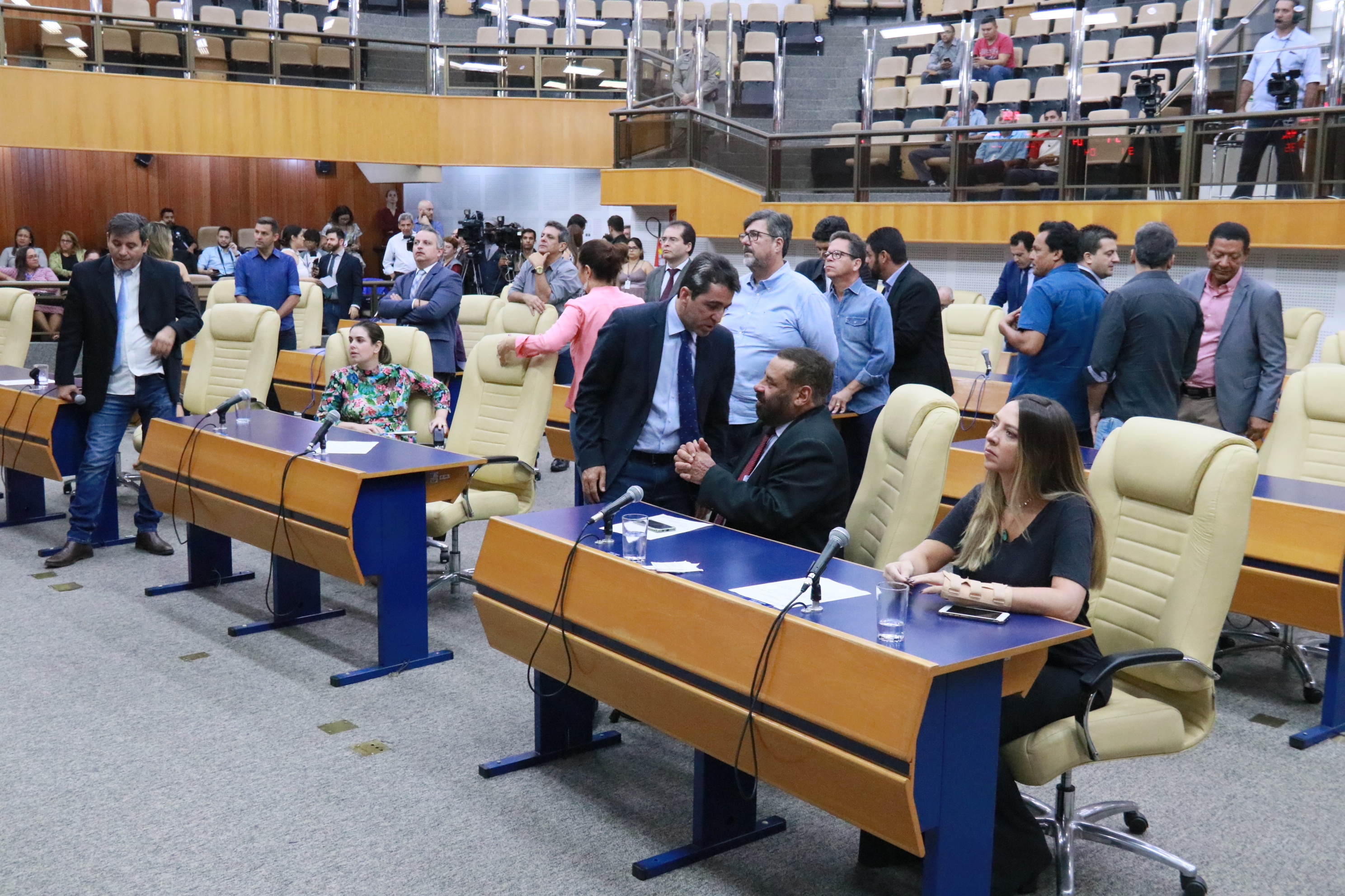 Plenário da Câmara Municipal de Goiânia (Foto: Divulgação)