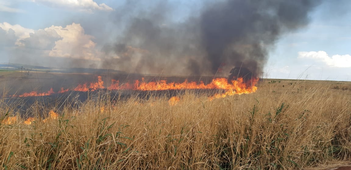 Preso suspeito de atear fogo em vegetação às margens da BR-153, em Itumbiara