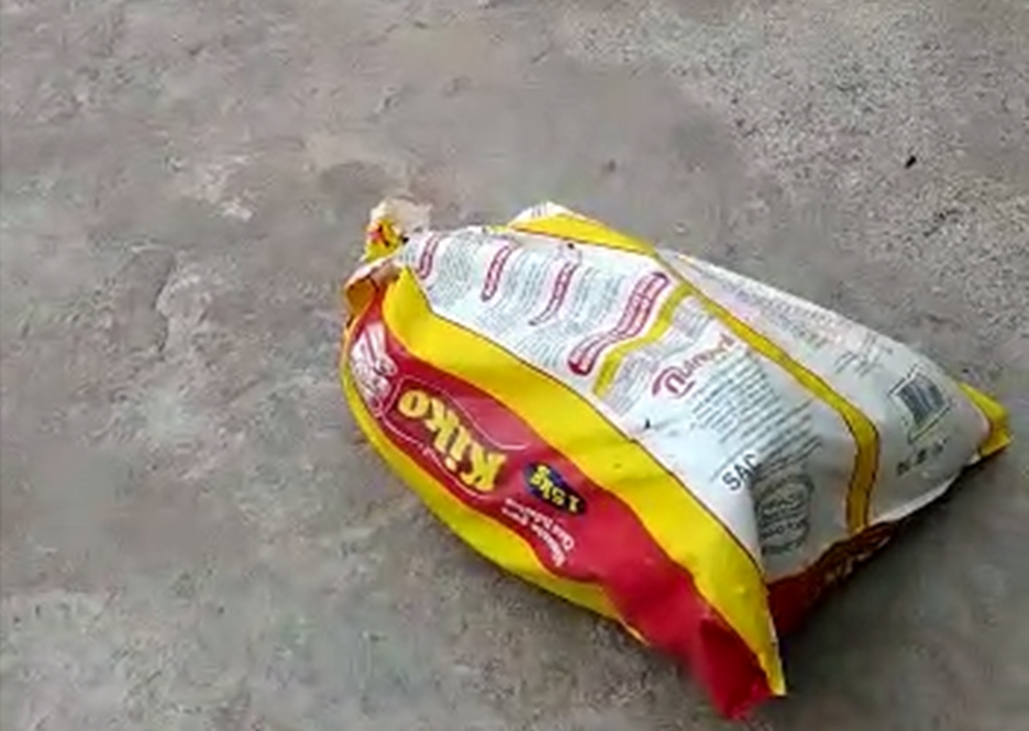 Cães são abandonados em saco plástico na porta de abrigo em Goiânia