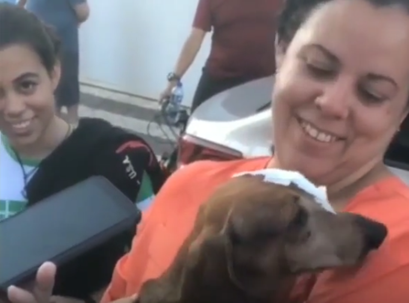 Cachorro é resgatado dos escombros de prédio que desabou, em Fortaleza