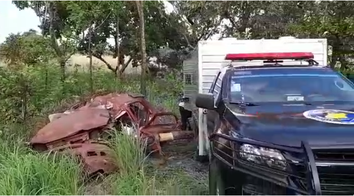 Jovem morre após colidir carro contra árvore na BR -153, em Porangatu