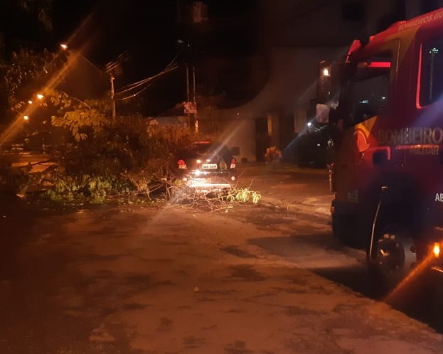 Árvore cai sobre em carro no setor Oeste, em Goiânia