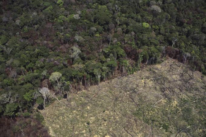 Dados consolidam domínio do governo Bolsonaro no ranking de desmatamento. Amazônia tem 8.590 km quadrados de área desmatada em 1 ano