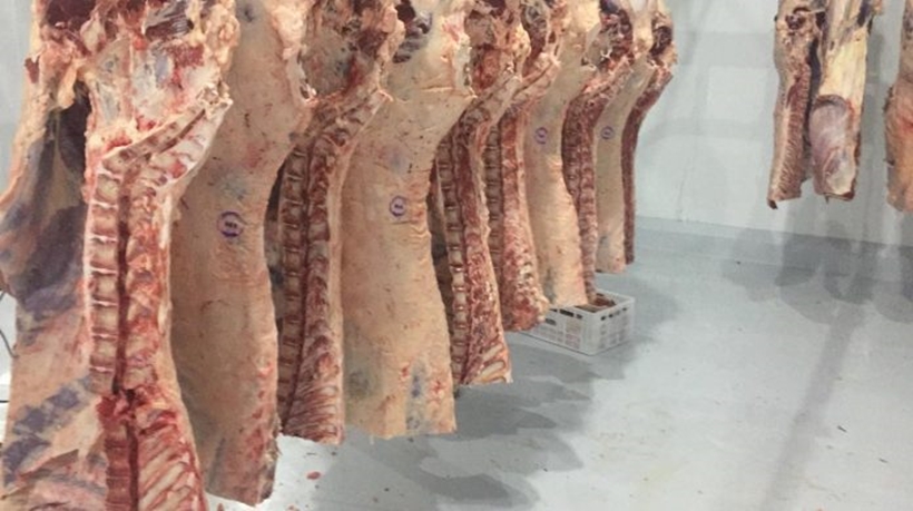 Fogo na Austrália pode favorecer carne brasileira