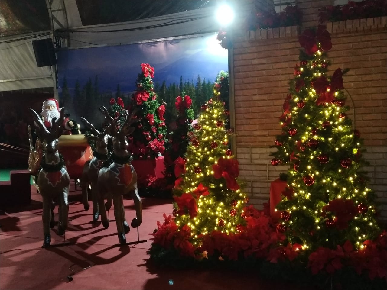 Natal do Bem tem mais de 170 mil lâmpadas e árvore de 12 metros na Praça Cívica, em Goiânia