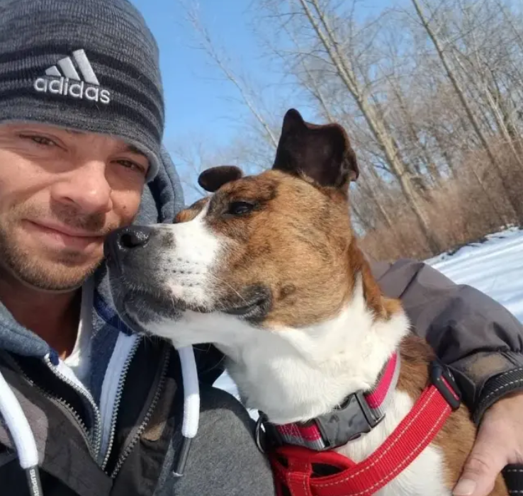 Cachorra recebe homenagem em abrigo depois de ser adotada, em Nova York