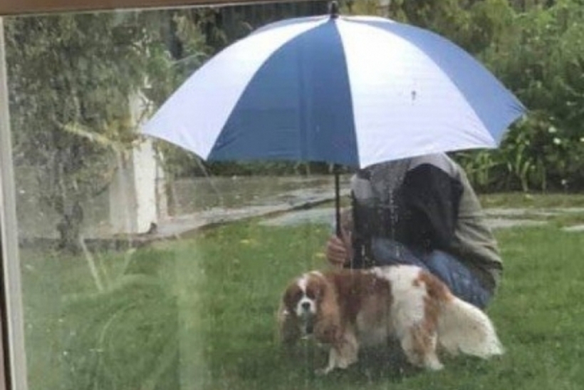 Imagem de homem que tem atitude fofa com cachorro, na Califórnia, viraliza na web
