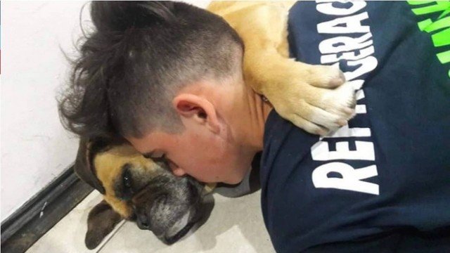 Cadela morre abraçada ao dono após ter um ataque cardíaco por causa de fogos de artifícios