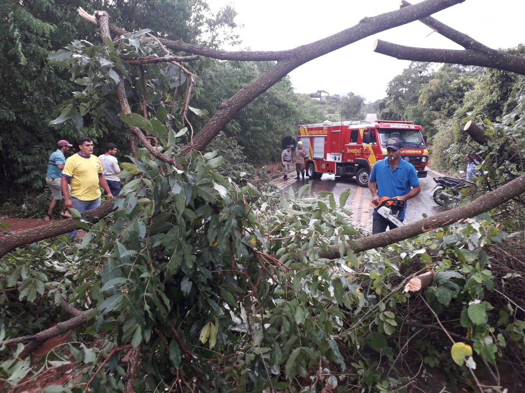 Durante a chuva e forte ventania em Pirenópolis, quatro pessoas ficaram feridas e precisaram ser encaminhadas ao hospital do município. (Foto: Corpo de Bombeiros)