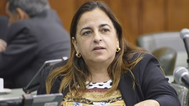 Não estou cogitando assumir o PSDB, afirma Eliane Pinheiro