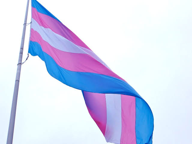 Pessoas trans relatam constrangimento, despreparo e preconceito durante atendimentos médicos (Foto: Blog Saúde)