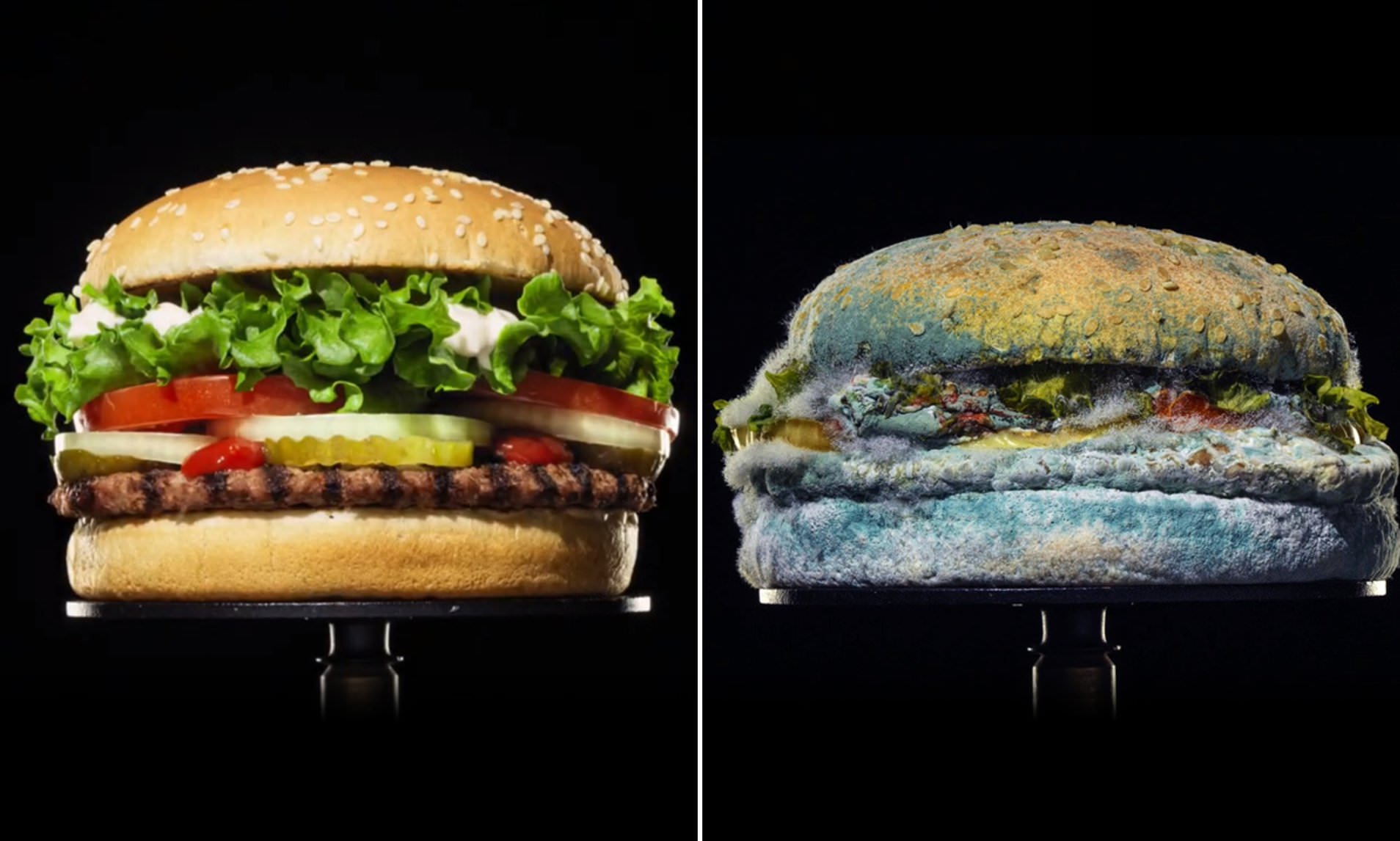 Burger King apresenta hambúrguer em decomposição em nova campanha publicitária Whooper Hambúrguer