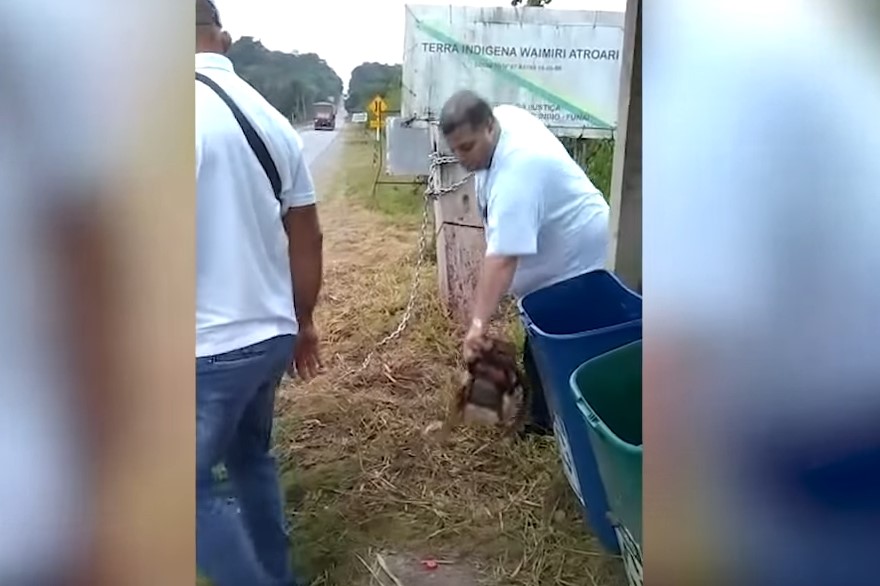 Deputado quebra corrente em terra indígena e grava vídeo para Bolsonaro