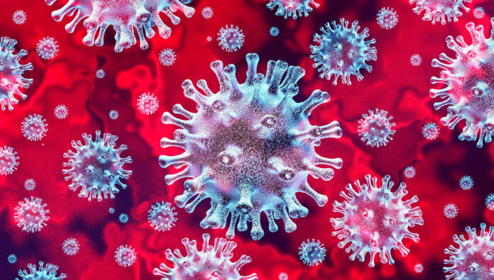 OMS diz que coronavírus pode se tornar endêmico
