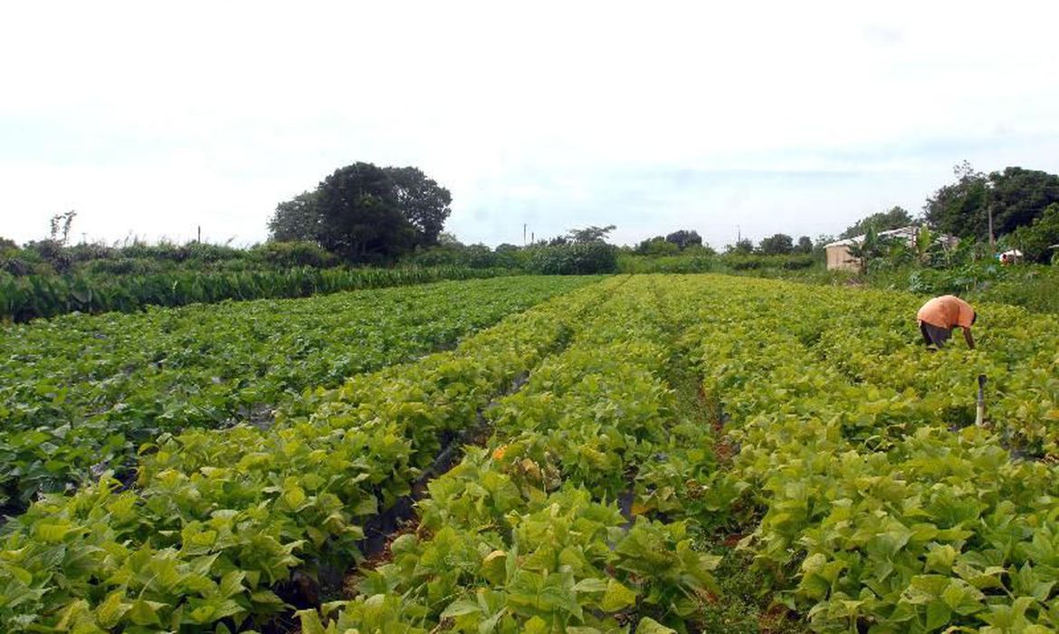 Governo de Goiás regulariza propriedade de 65,7 mil hectares de terras