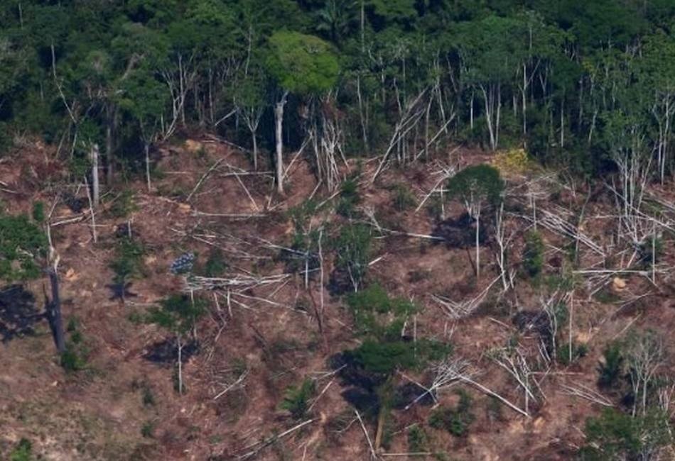 Bolsonaro decreta GLO ambiental; ações do Ibama e ICMBio ficam sob comando de militares