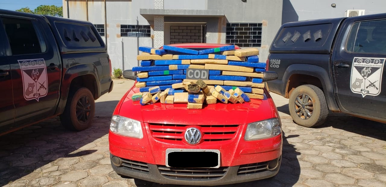 Polícia apreende 70 quilos de drogas s que seriam comercializadas em Goiânia - maconha