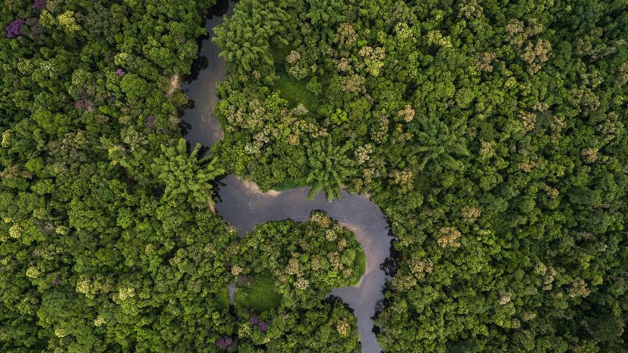 Investidores europeus ameaçaram diminuir investimentos no Brasil devido ao desmatamento na Floresta Amazônica. (Foto: iStockphoto)