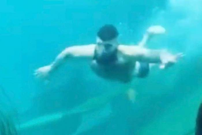Homem mergulha em aquário de zoológico na Austrália; assista
