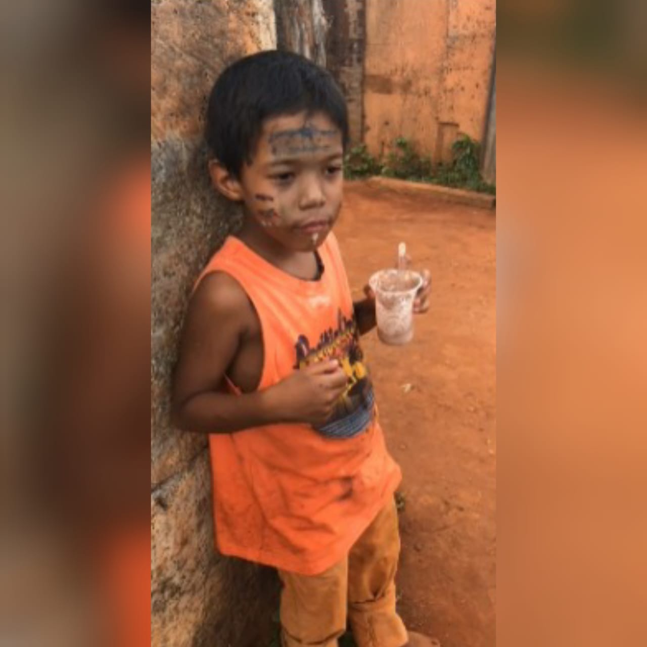 O menino Danilo de Souza Silva, que foi encontrado morto em uma mata, será sepultado nesta quarta-feira (29), no Cemitério Vale da Paz, em Goiânia. (Foto: reprodução)