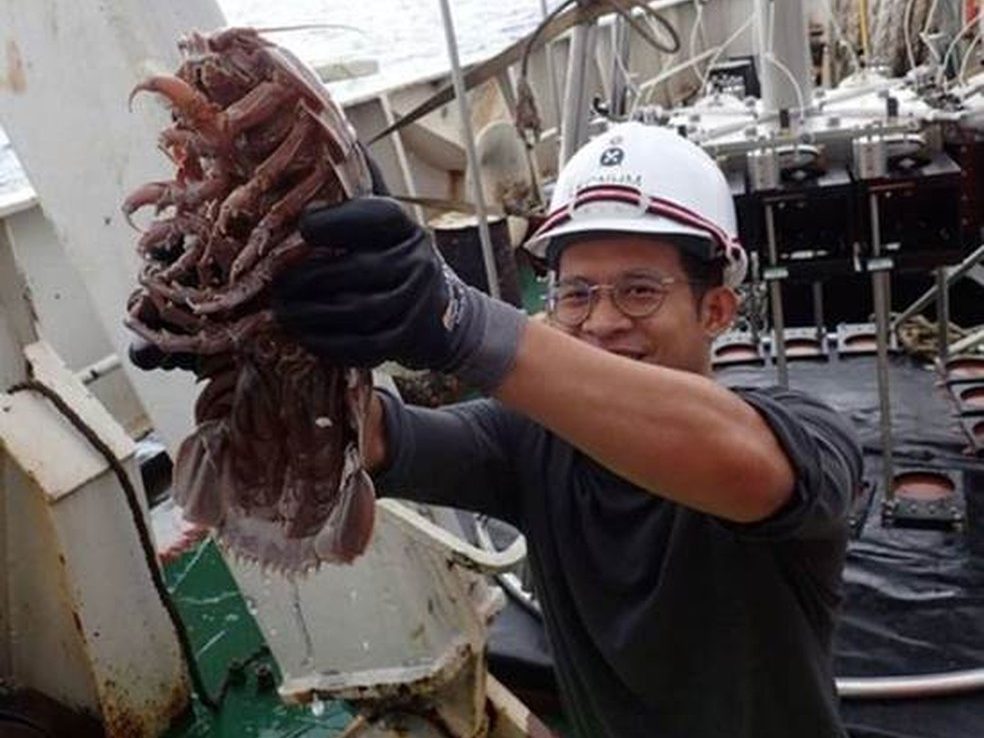 Barata gigante é encontrada no fundo do mar da Indonésia