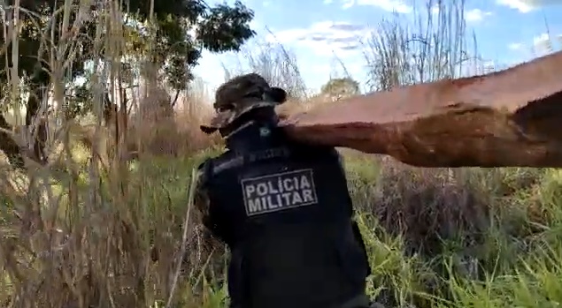 Dois homens foram detidos suspeitos de desmatamento de uma área de reserva ambiental no assentamento Santa Maria, em Mundo Novo. (Foto: divulgação/PM)