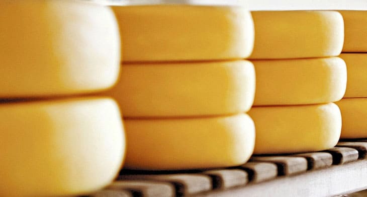 Maior queijo do mundo tem quase 600 kg; confira imagens