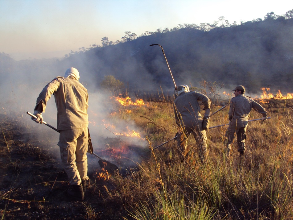 Bombeiros controlam queimada em Goiás