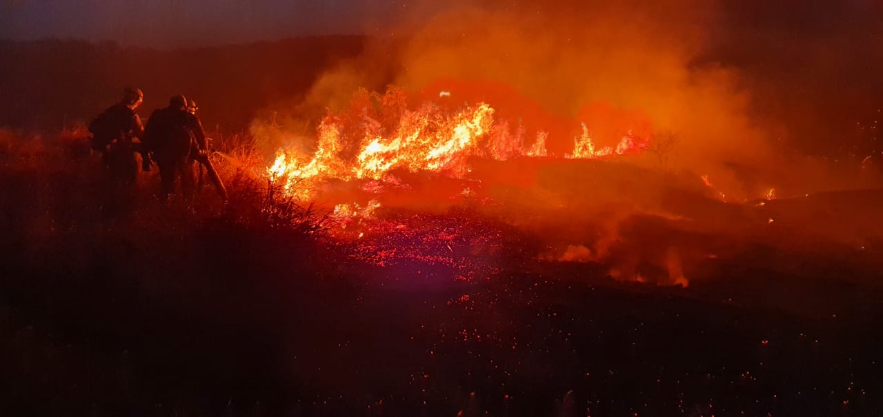 Equipes do Corpo de Bombeiros combateram um incêndio na GO-080, nas proximidades do Parque Ecológico Altamiro de Moura Pacheco, em Goiânia. (Foto: divulgação/Corpo de Bombeiros)