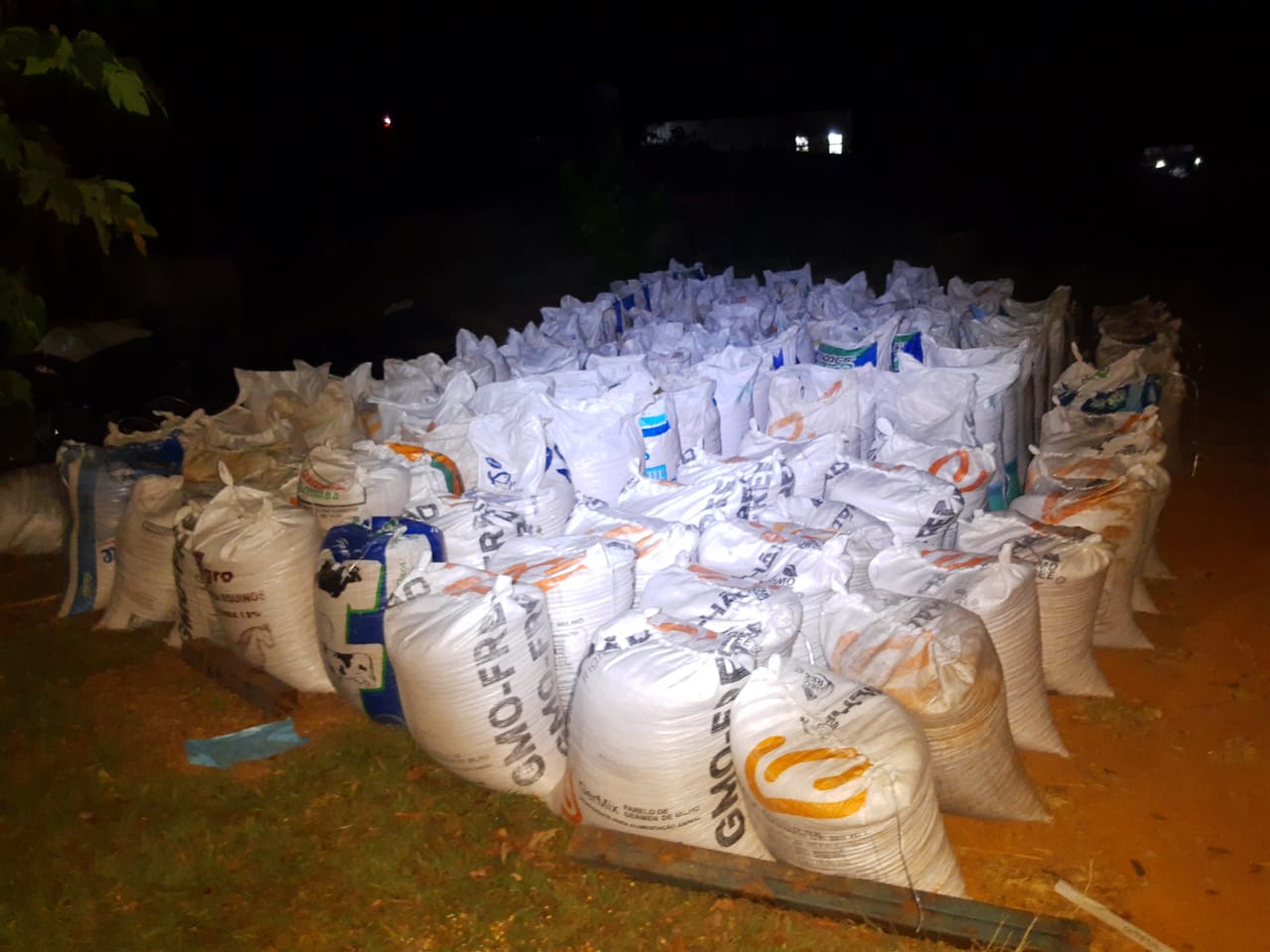 Um homem, que não teve o nome e idade divulgados, foi preso suspeito de furtar cerca de 30 toneladas de milho do patrão, em Itaberaí. (Foto: divulgação)