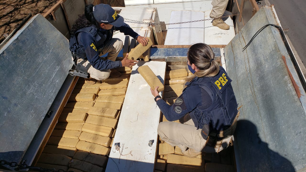 Policiais apreendem duas toneladas de maconha em Cocalzinho; vídeo
