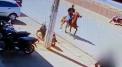 Homem furta queijos e foge a cavalo, em Luziânia; vídeo