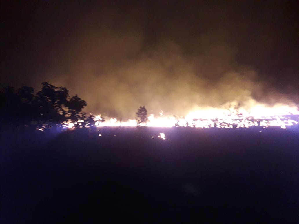 Um incêndio atingiu o Parque Estadual dos Pireneus, em Pirenópolis, na noite de sexta-feira (28). (Foto: divulgação/Corpo de Bombeiros)